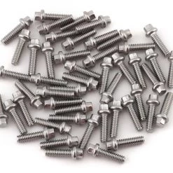 Vanquish Products Scale Beadlock Ring Screw Kit (Stainless) (50)